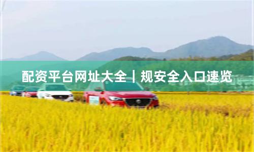 配资平台网址大全｜规安全入口速览